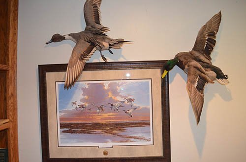 Property photo 74 - Personal Property Auction, Tractor & Implements, Cars, Lawn & Garden, Hunting & Fishing, Guns, Antiques & Collectibles, Household